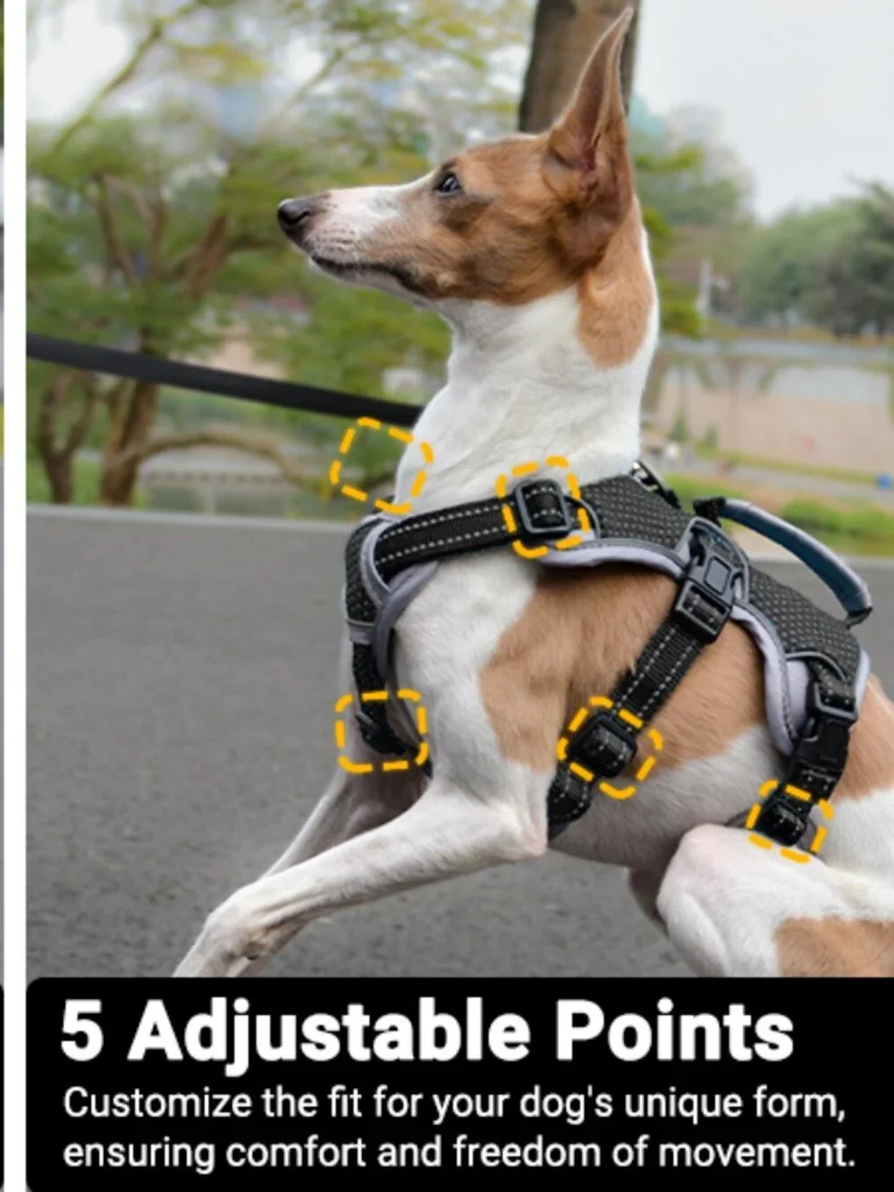 BELPRO Dog Harness size M